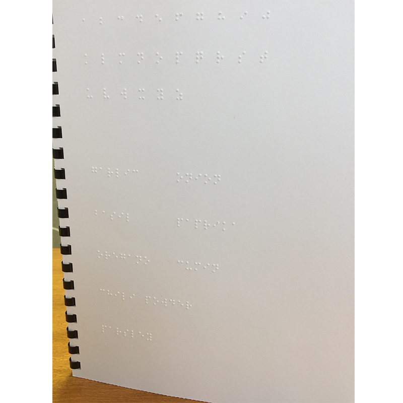 Family First Braille