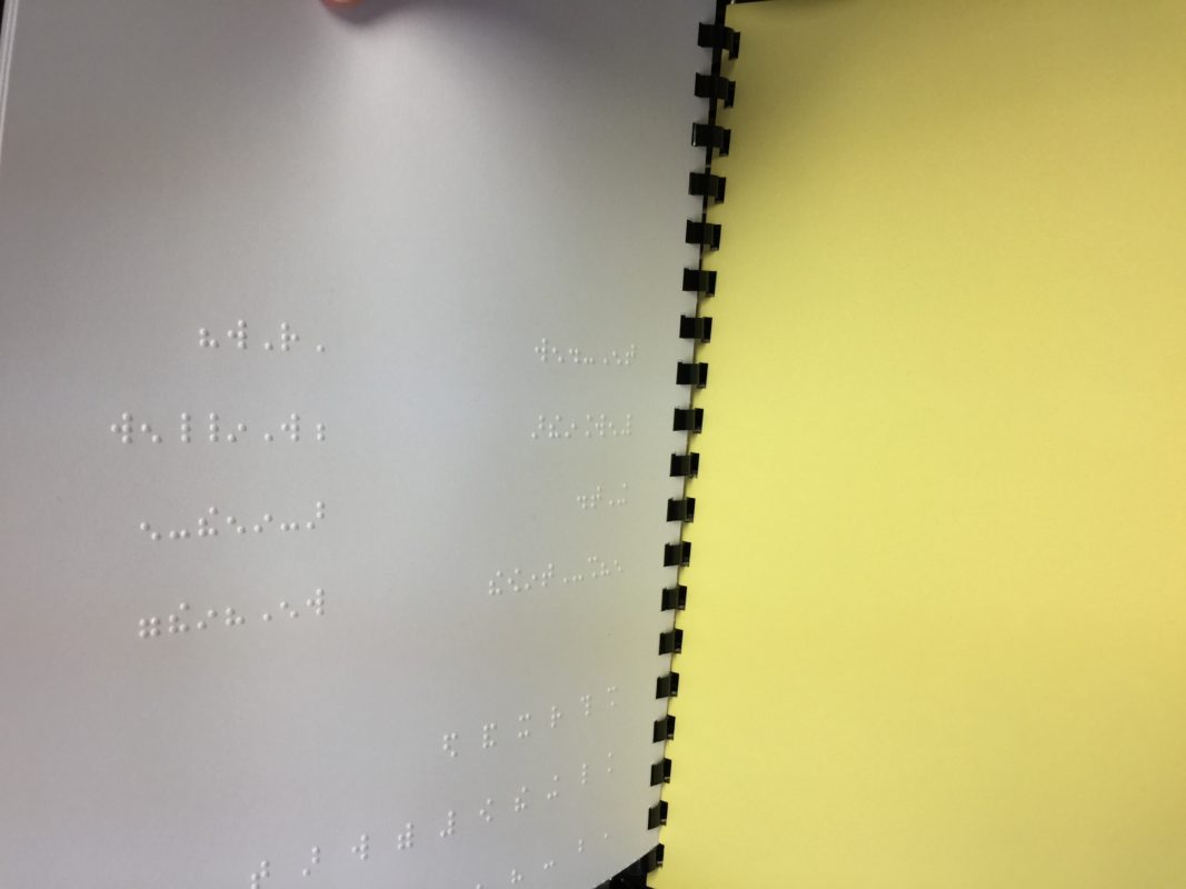 Family First Braille